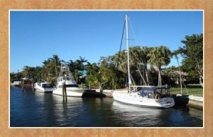 Hillsboro Mile Waterfront Homes