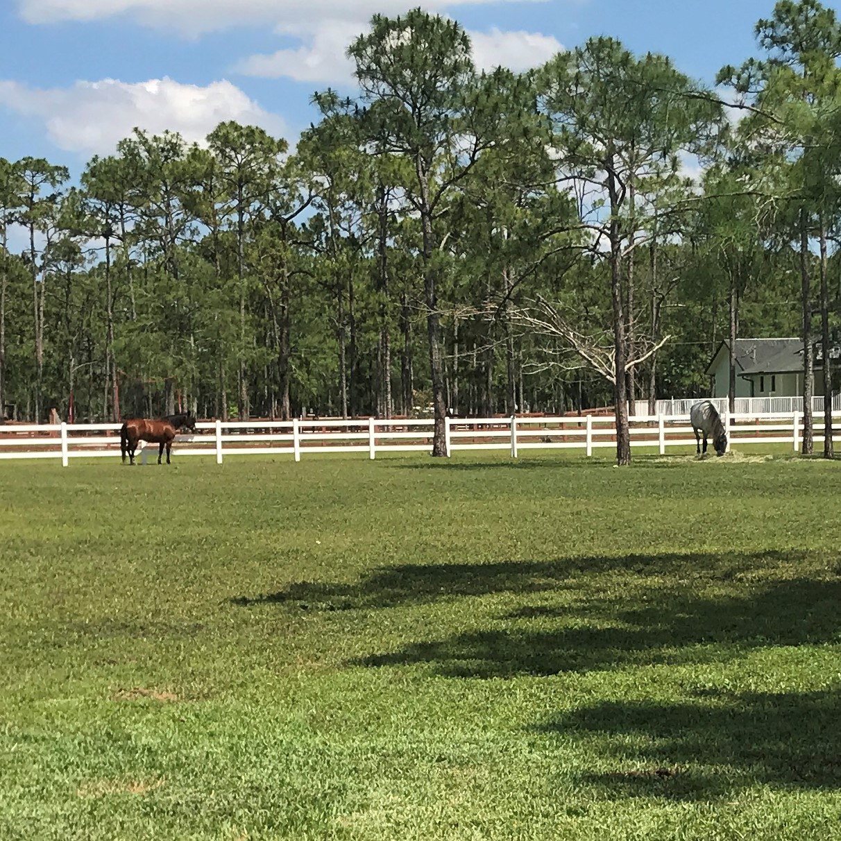 Equestrian Estates - Palm Beach County